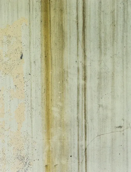 MFPSH00186_2.jpg