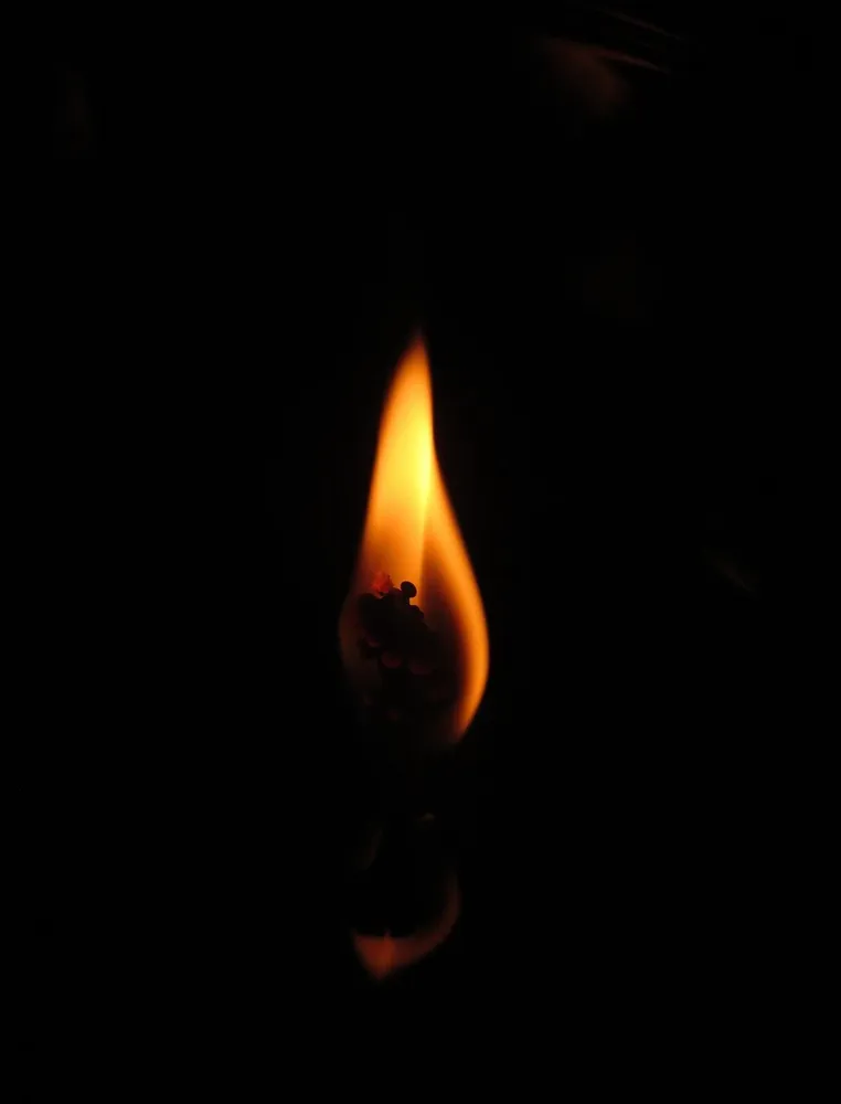 MFPJU00260_2.jpg