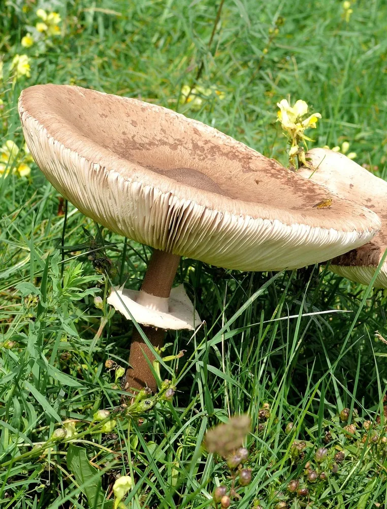 MFPPA00218_2.jpg