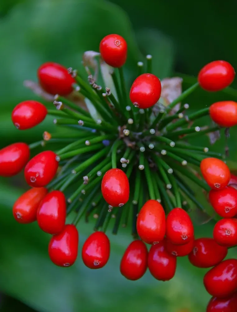 MFPCA00166_4.jpg