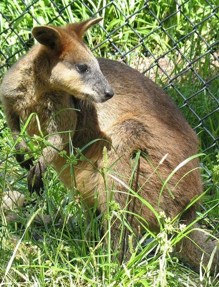 MFASA00223_3.jpg